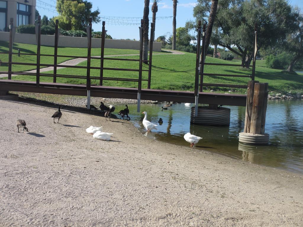 Mccormick Ranch Golf Villa Σκότσντεϊλ Εξωτερικό φωτογραφία